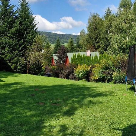 Domki Pod Kiczera W Baligrodzie, Bieszczady מראה חיצוני תמונה