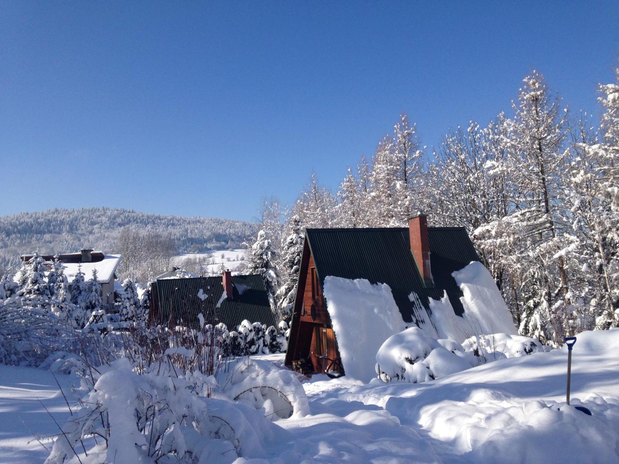 Domki Pod Kiczera W Baligrodzie, Bieszczady מראה חיצוני תמונה
