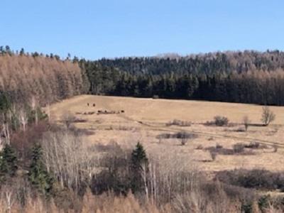 Domki Pod Kiczera W Baligrodzie, Bieszczady מראה חיצוני תמונה